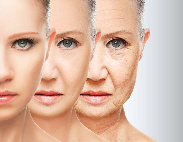 The Benefits of Amino Acids for Anti-Aging