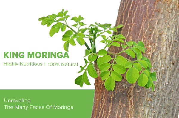 Medicine or Miracle - Unraveling the Many Faces of Moringa