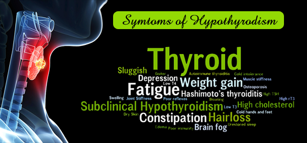 Moringa and Thyroid