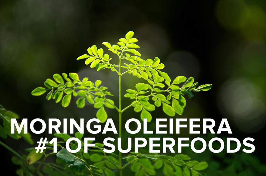 Four Lesser-Known Uses of Moringa