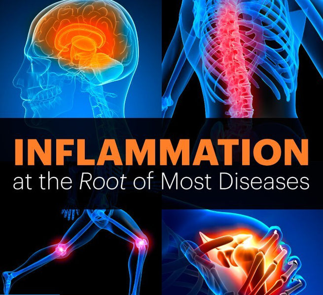 Inflammation at the Root of most diseases