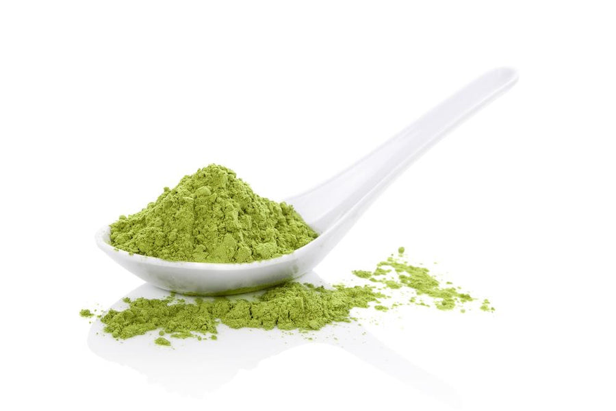 Detoxify Your Body With Moringa: Your Damage Reversal Mission Begins NOW