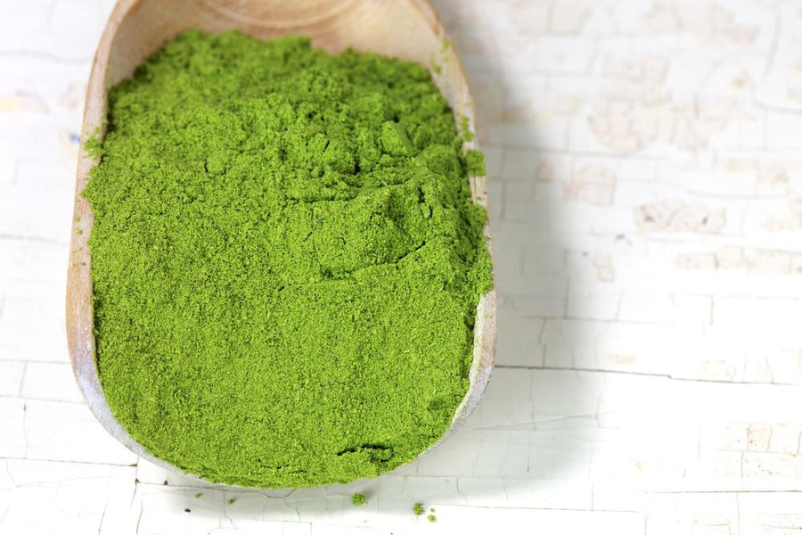 Crucial Factors to Consider when You are Choosing a Moringa Supplement